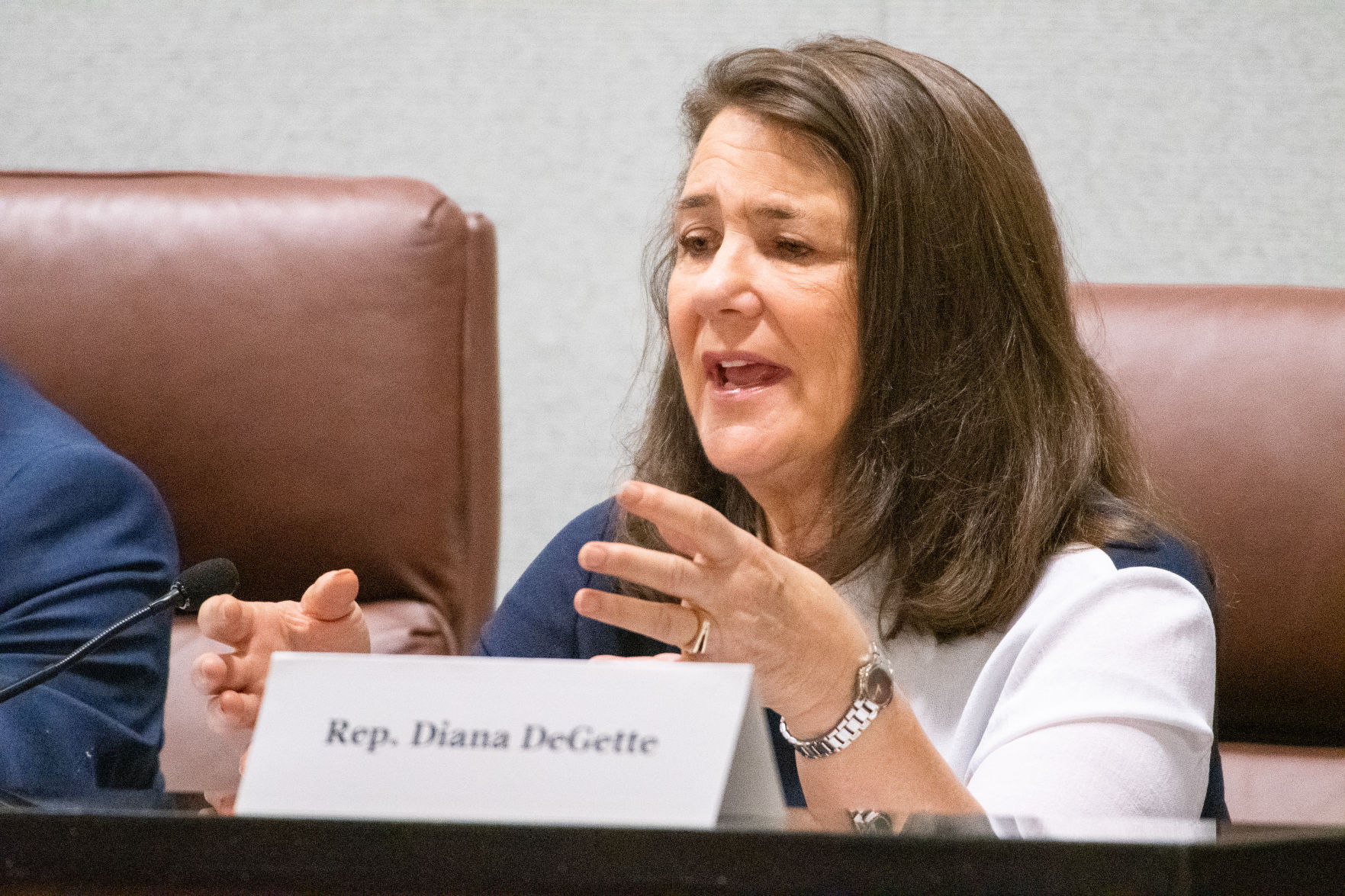20190801-Colwell-CoPo-climate-hearing-2AC8825.jpg